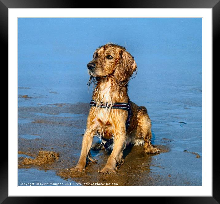 The Perfect Dog Pose Framed Mounted Print by Kevin Maughan