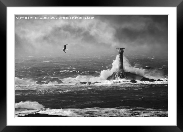 Storm Watching in Monochrome Framed Mounted Print by Terri Waters