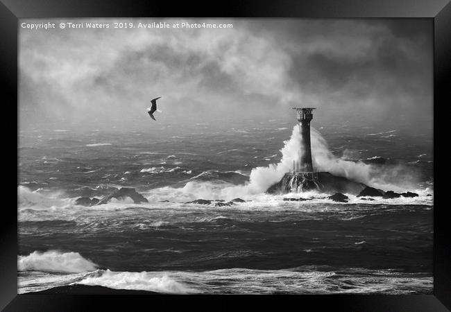 Storm Watching in Monochrome Framed Print by Terri Waters