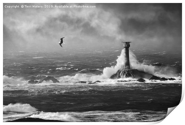 Storm Watching in Monochrome Print by Terri Waters