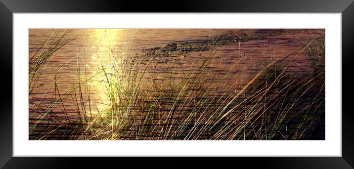 Golden Twilight on Hayle Beach Framed Mounted Print by Beryl Curran