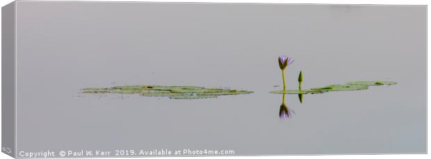 Lily on the water ... Canvas Print by Paul W. Kerr