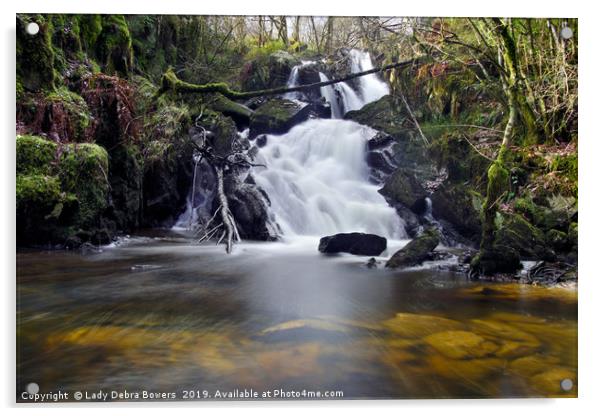 Aberfoyle Waterfall  Acrylic by Lady Debra Bowers L.R.P.S