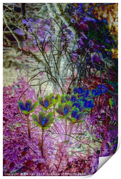 Colours of Spring Print by Jim Key