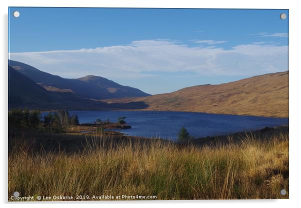 Loch Dee, Dumfries and Galloway Acrylic by Lee Osborne