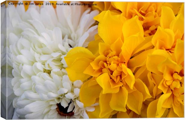 Yellow and White Chrysanthemums Canvas Print by Jim Jones