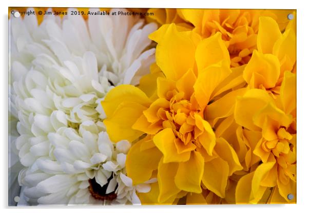Yellow and White Chrysanthemums Acrylic by Jim Jones