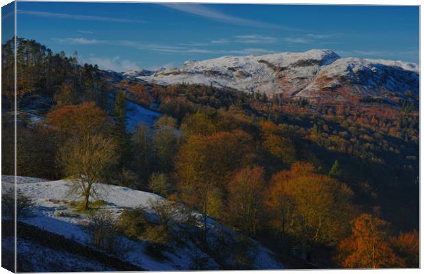 A view from Loughrigg Canvas Print by Robert Fielding