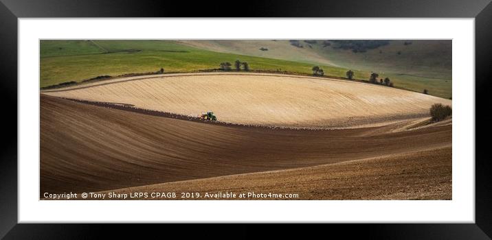 PLOUGHING THE SOUTH DOWNS Framed Mounted Print by Tony Sharp LRPS CPAGB