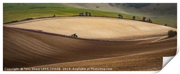PLOUGHING THE SOUTH DOWNS Print by Tony Sharp LRPS CPAGB