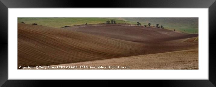 PLOUGHING THE SOUTH DOWNS 2 Framed Mounted Print by Tony Sharp LRPS CPAGB