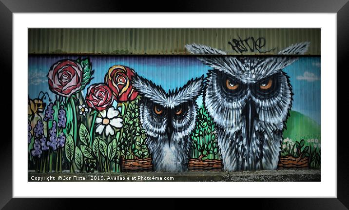Wise Owls  Framed Mounted Print by Jon Fixter