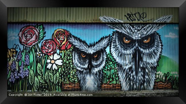 Wise Owls  Framed Print by Jon Fixter