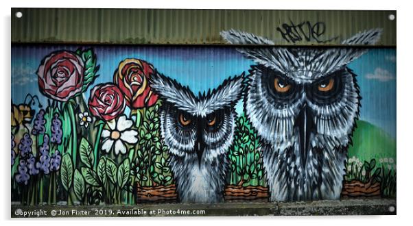 Wise Owls  Acrylic by Jon Fixter