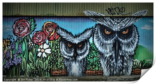 Wise Owls  Print by Jon Fixter