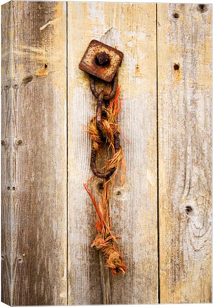 Chain on wooden door Canvas Print by Steven Shea