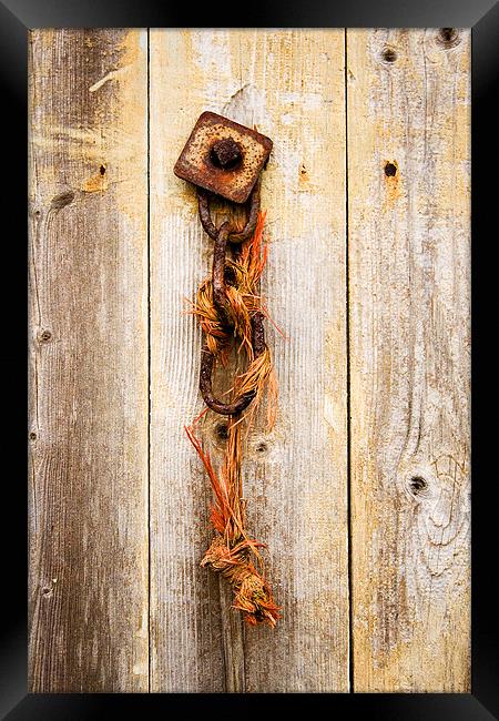 Chain on wooden door Framed Print by Steven Shea