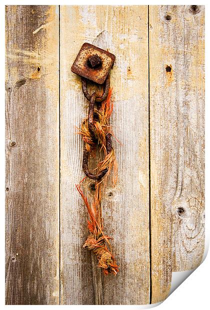 Chain on wooden door Print by Steven Shea