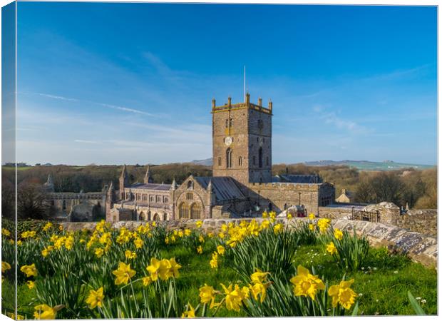 St David's Cathedral, Pembrokeshire, Wales. Canvas Print by Colin Allen