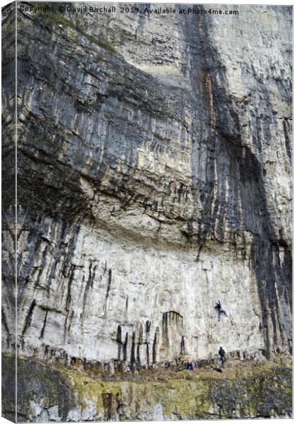 Rock climbers at Malham Cove Canvas Print by David Birchall