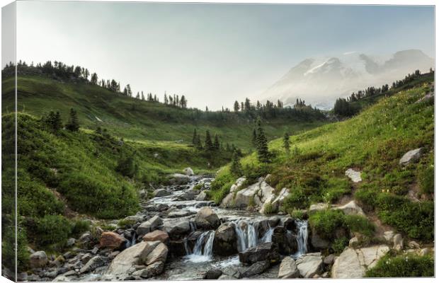 Early Evening Light on Mt Rainier and Edith Creek Canvas Print by Belinda Greb