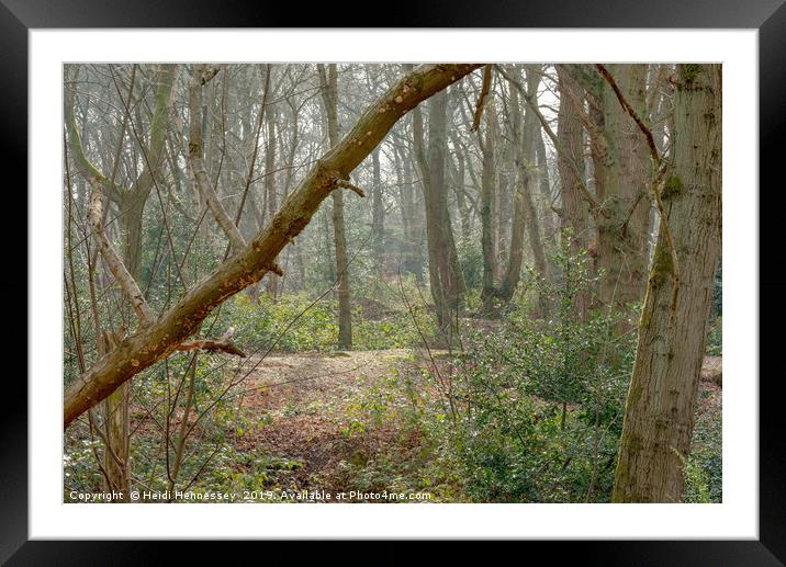 Serene forest view Framed Mounted Print by Heidi Hennessey