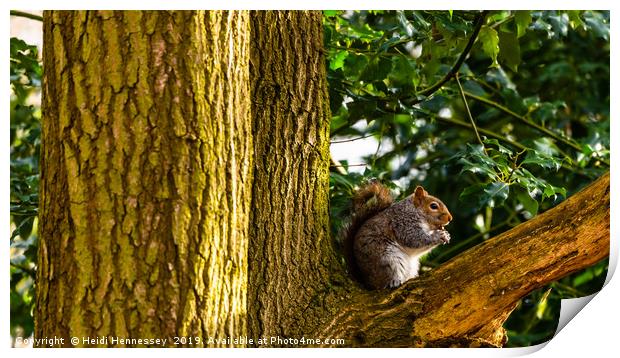 Nut-crunching Squirrel Print by Heidi Hennessey