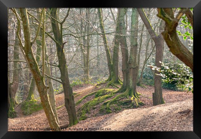 Enchanted Forest Path Framed Print by Heidi Hennessey