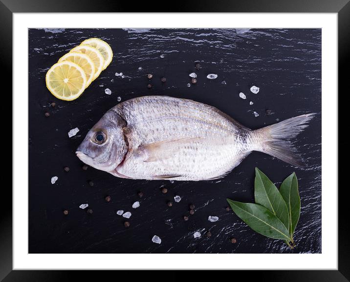 Sea Bream Framed Mounted Print by Bahadir Yeniceri