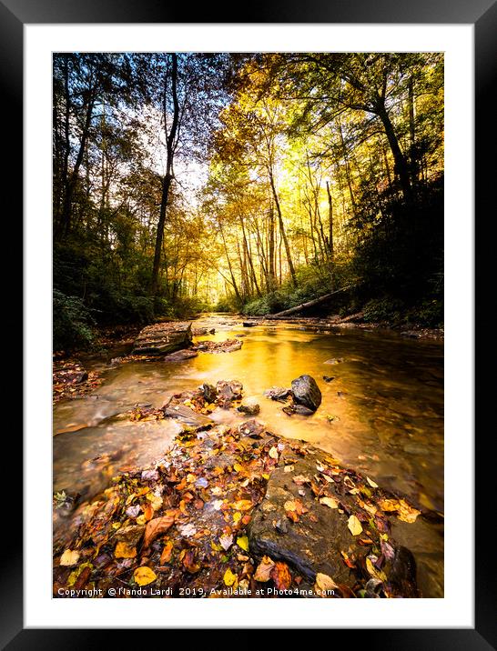 Below The Falls Framed Mounted Print by DiFigiano Photography