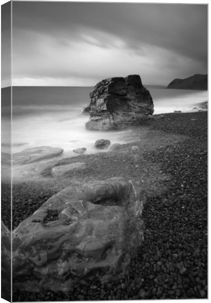 Eype Boulders Black and White Canvas Print by David Neighbour