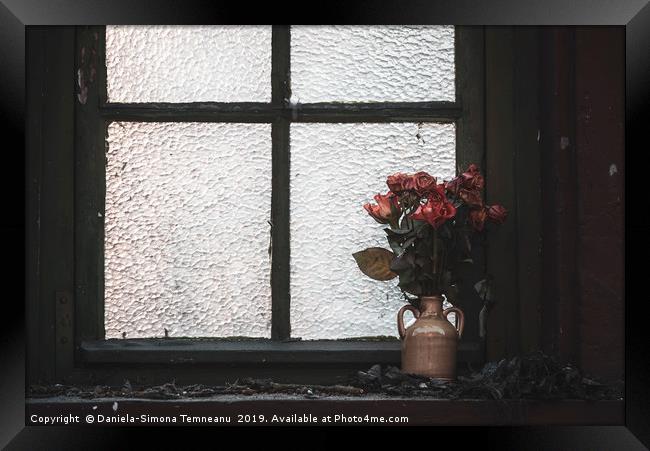 Dried flowers in a vase on an old window sill Framed Print by Daniela Simona Temneanu