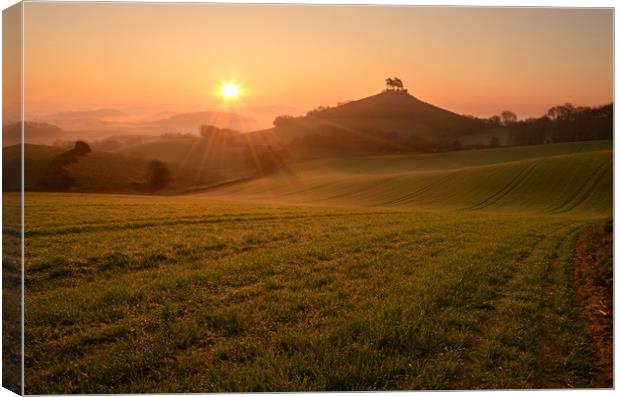 Dewy Morning at Colmer's Hill Canvas Print by David Neighbour