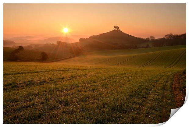 Dewy Morning at Colmer's Hill Print by David Neighbour