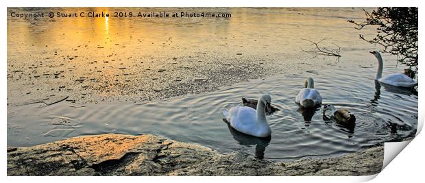 Birds on a frozen lake Print by Stuart C Clarke