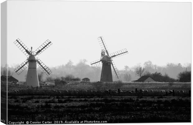 Two Windmills Canvas Print by Connor Carter