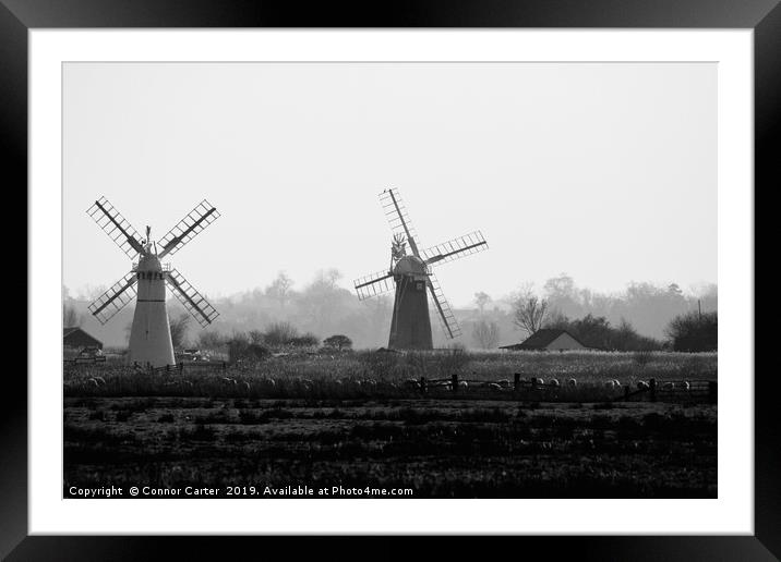 Two Windmills Framed Mounted Print by Connor Carter