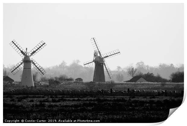 Two Windmills Print by Connor Carter