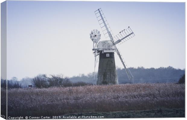 Cormorants on a Windmill Canvas Print by Connor Carter