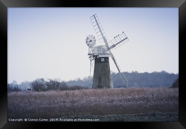 Cormorants on a Windmill Framed Print by Connor Carter