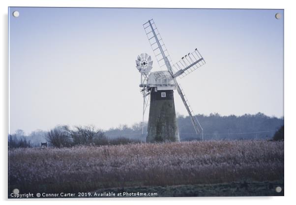 Cormorants on a Windmill Acrylic by Connor Carter
