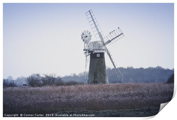 Cormorants on a Windmill Print by Connor Carter