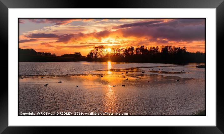 Hardwick park sunset Framed Mounted Print by ROS RIDLEY