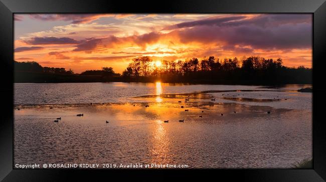 Hardwick park sunset Framed Print by ROS RIDLEY