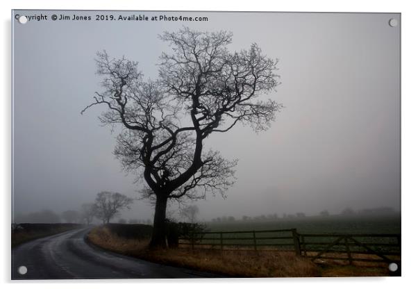 February fog Acrylic by Jim Jones