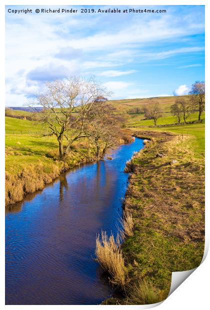 River Bain, North Yorkshire Print by Richard Pinder