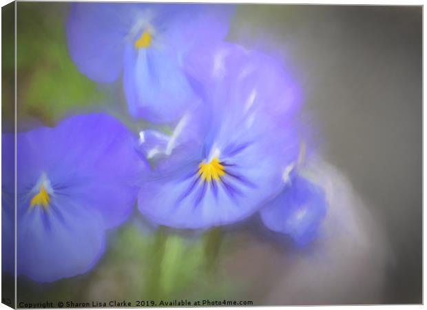 Pansy Blues Canvas Print by Sharon Lisa Clarke