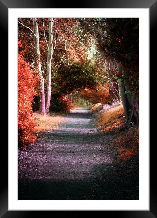 Autumns Solitude Framed Mounted Print by Christine Lake