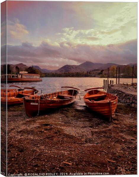 Evening light on Derwentwater boats Canvas Print by ROS RIDLEY
