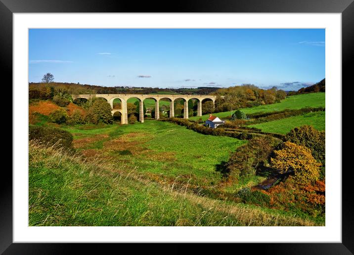 Cannington Viaduct, Uplyme                         Framed Mounted Print by Darren Galpin